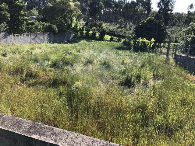 Terreno venda em Pombal, Leiria