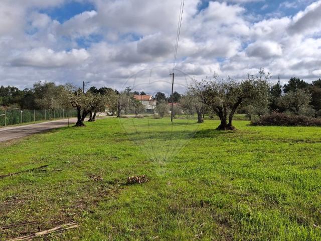 Terreno venda em Pombal, Leiria