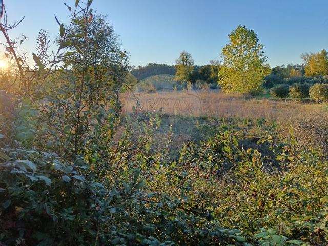 Terreno venda em Pombal, Leiria