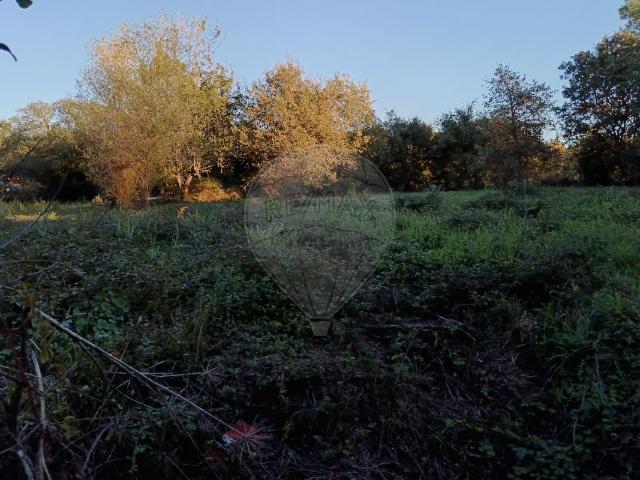 Terreno venda em Pombal, Leiria