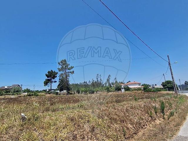 Terreno venda em Pombal, Almagreira