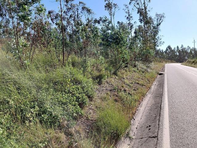 Terreno venda em Pombal