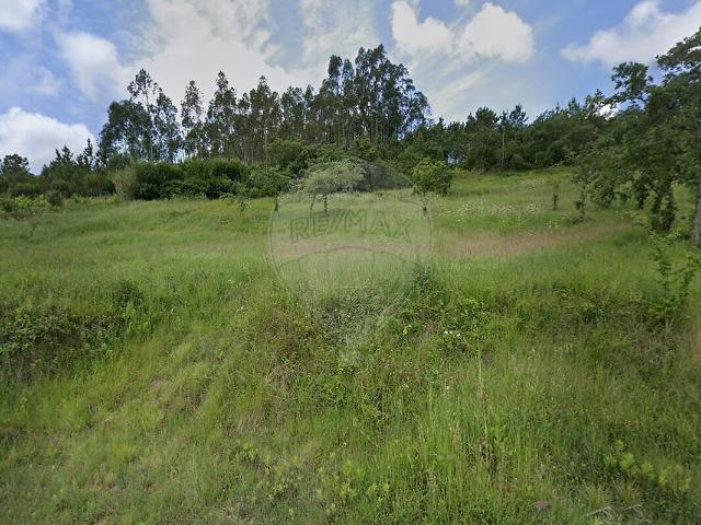 Terreno venda em Pombal