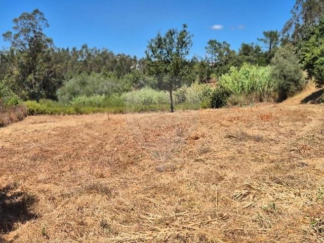 Terreno venda em Pombal