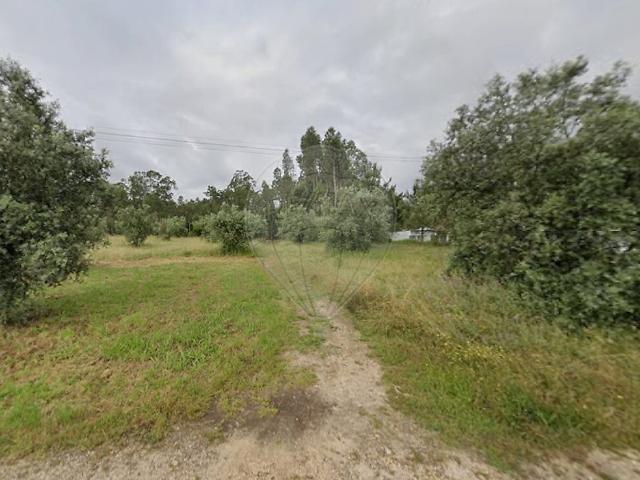 Terreno venda em Pombal