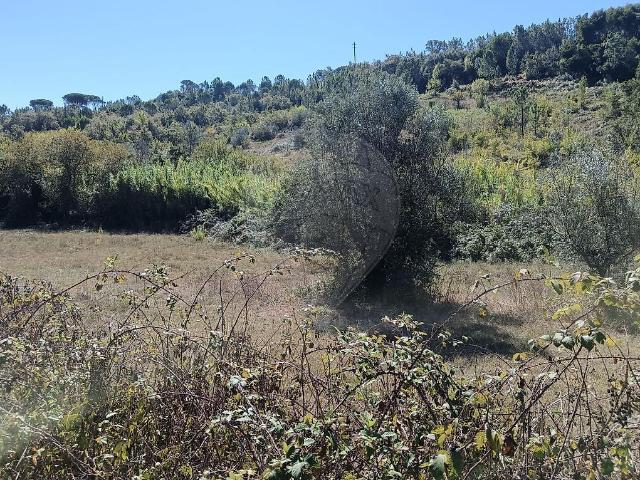 Terreno venda em Pombal