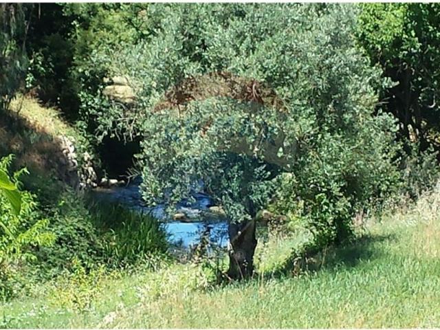Terreno venda em Pombal
