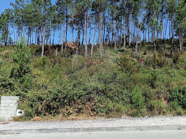 Terreno venda em Pombal