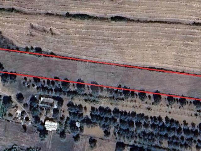 Terreno venda em Pombal