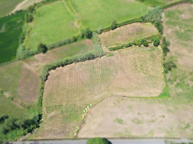 Terreno venda em Açores, São Vicente Ferreira
