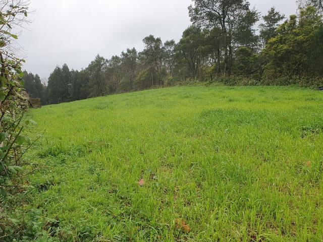Terreno venda em Açores, Ilha De São Miguel