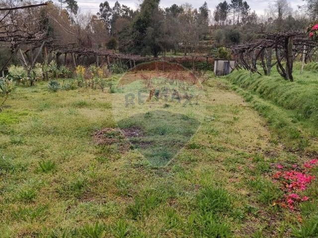 Terreno venda em Ginzo, Grovelas São João Evangelista