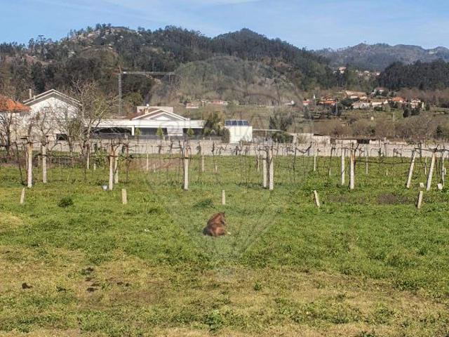 Terreno venda em Grovelas São João Evangelista, Viana Do Castelo