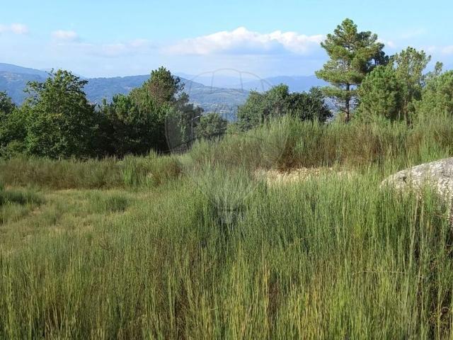 Terreno venda em Grovelas São João Evangelista, Viana Do Castelo