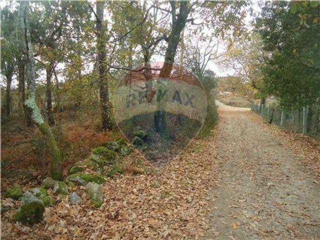 Terreno venda em São Martinho de Crasto, Grovelas São João Evangelista