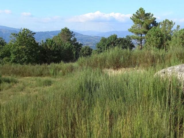 Terreno venda em Grovelas São João Evangelista, Viana Do Castelo