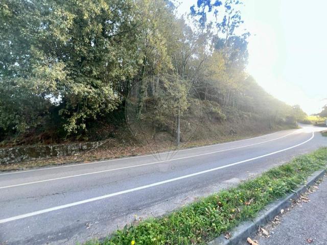 Terreno venda em Fundo de Oleiros, Grovelas São João Evangelista