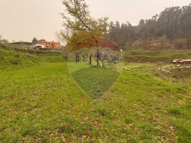 Terreno venda em Grovelas São João Evangelista, Viana Do Castelo