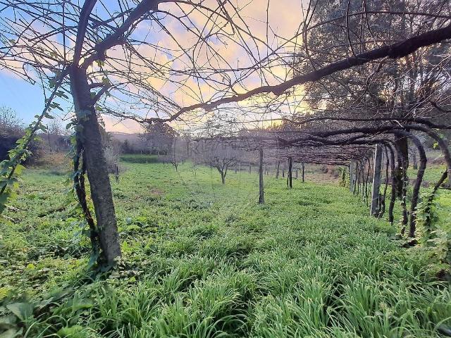 Terreno venda em Rebordões (Souto), Boalhosa