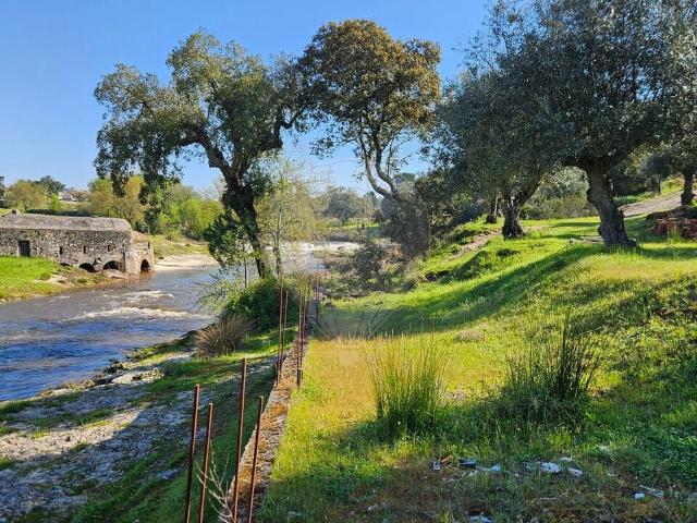 Terreno venda em Ponte de Sor