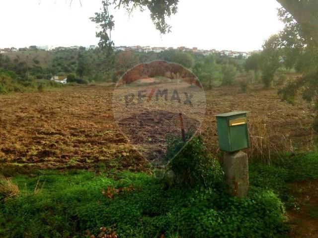 Terreno venda em Marouco, Ponte De Sor