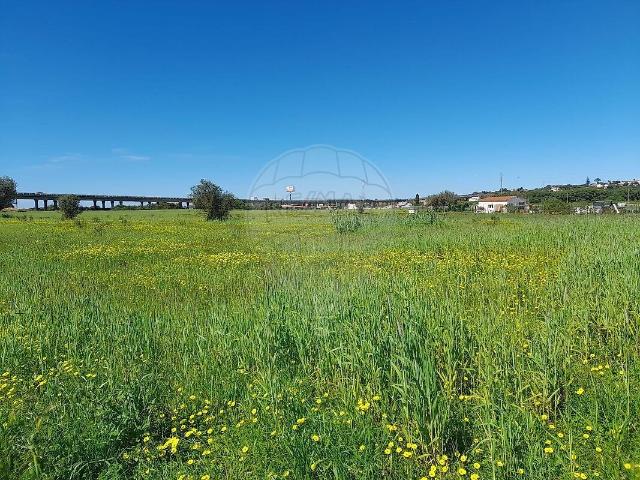 Terreno venda em Silves, Faro