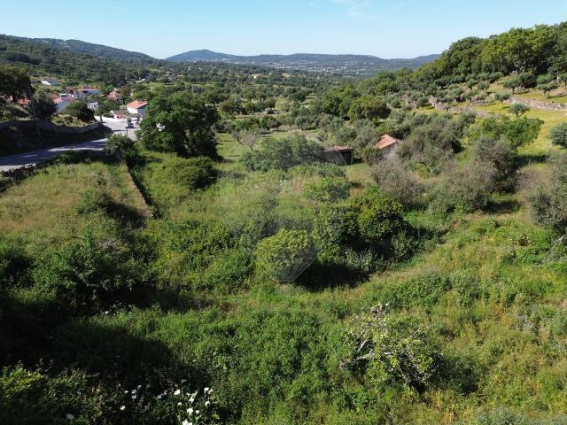 Terreno venda em Portalegre