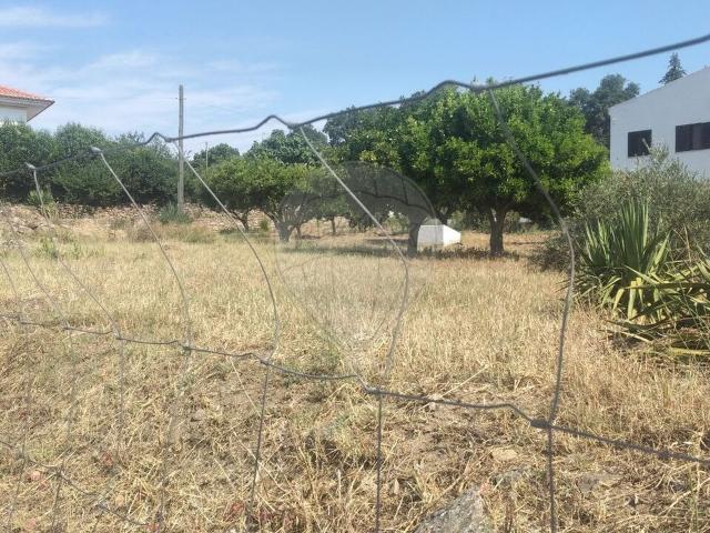 Terreno venda em Portalegre