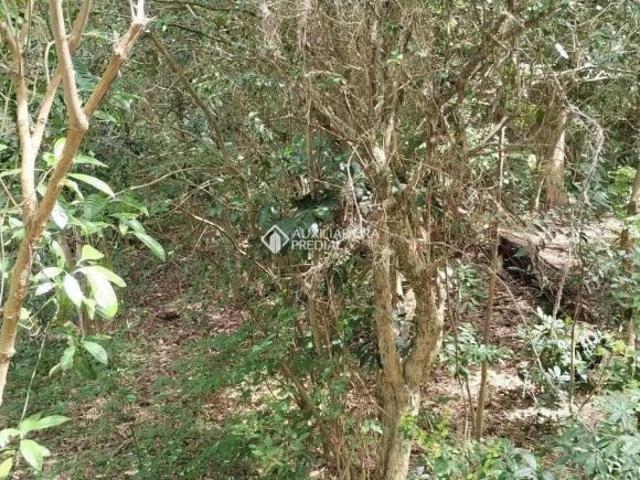Terreno venda em Região Geográfica Imediata de Porto Alegre, Região Metropolitana de Porto Alegre