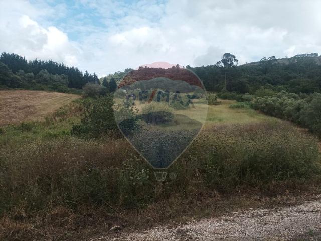 Terreno venda em Porto De Mós, Leiria