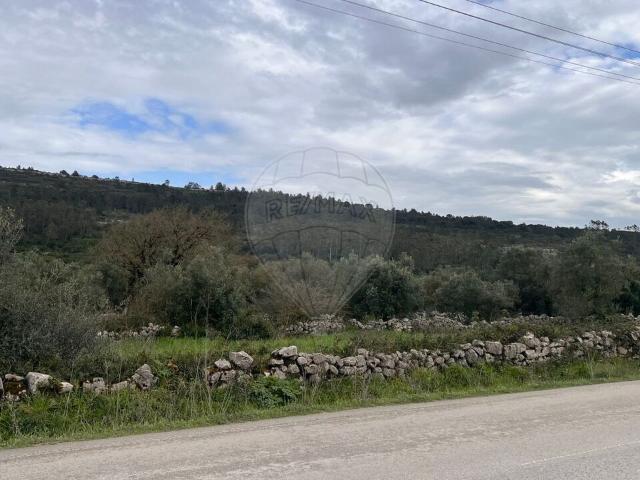 Terreno venda em Porto De Mós, Leiria