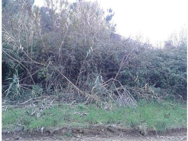Terreno venda em Juncal, Porto De Mós