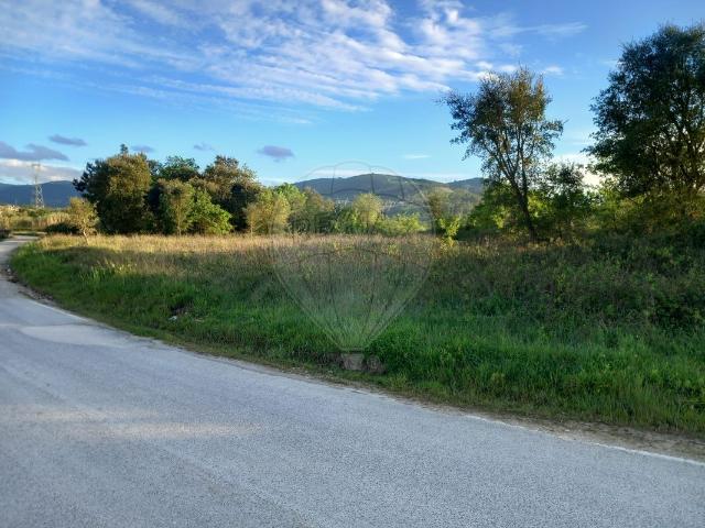 Terreno venda em Porto De Mós, Leiria