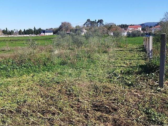 Terreno venda em Porto De Mós, Leiria