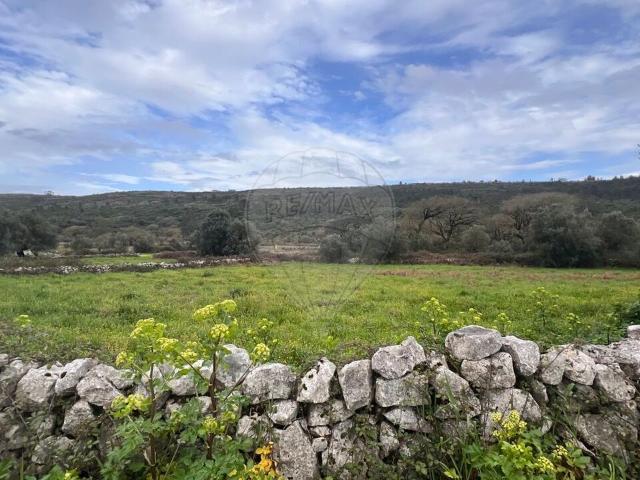 Terreno venda em Porto De Mós, Leiria