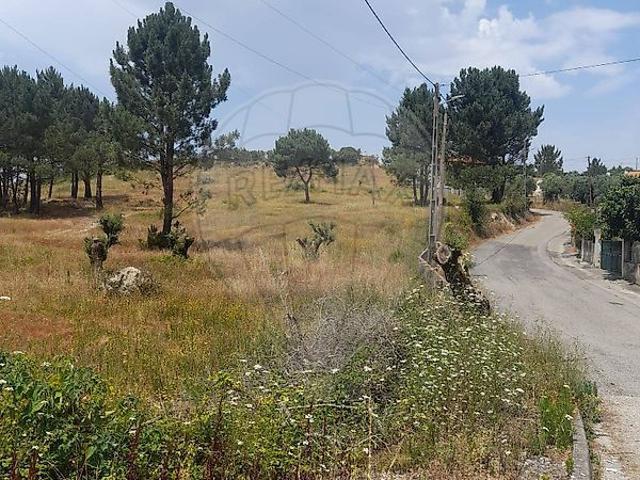 Terreno venda em Juncal, Porto De Mós