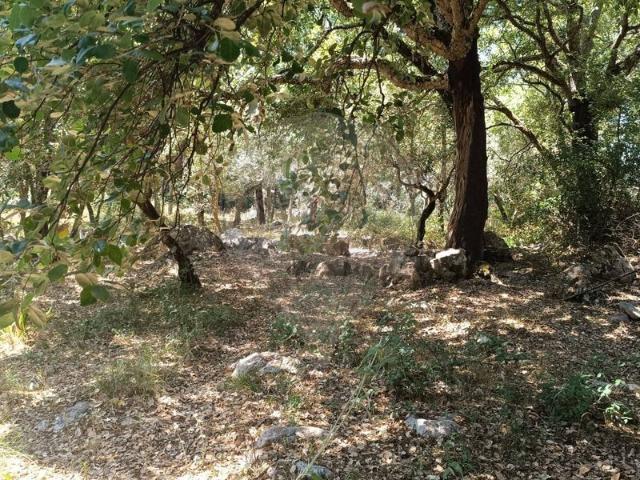 Terreno venda em Casas dos Riscos, Porto De Mós