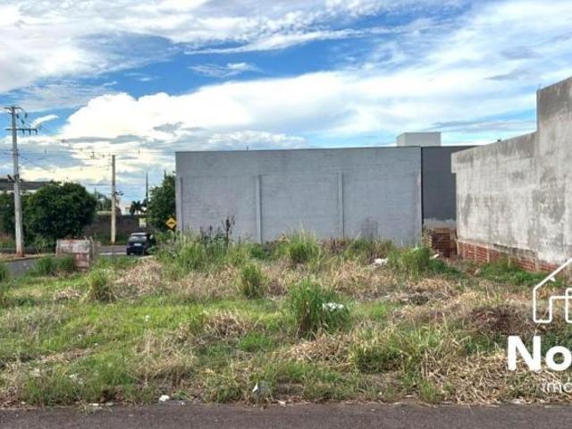 Terreno venda em Região Geográfica Imediata de Loanda, Porto Rico