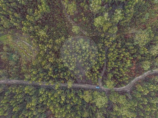 Terreno venda em Fonte Arcada e Oliveira, Póvoa de Lanhoso