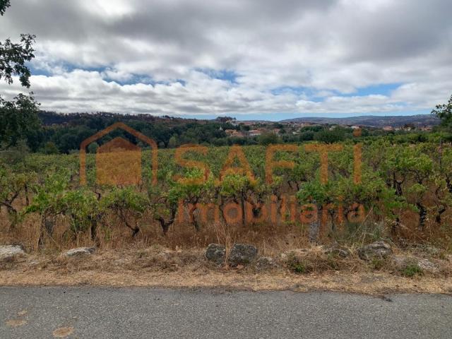 Terreno venda em Guarda