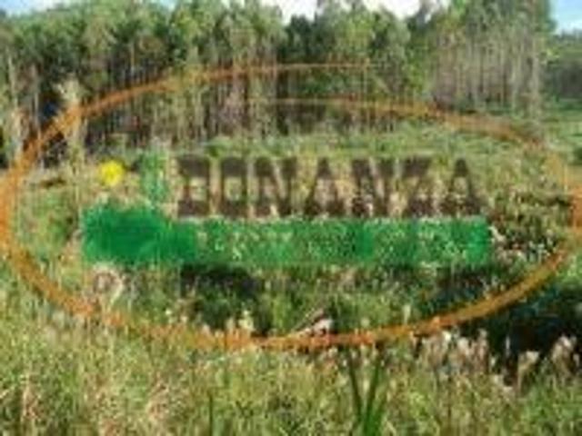 Terreno venda em Presidente Bernardes, Região Geográfica Intermediária de Juiz de Fora
