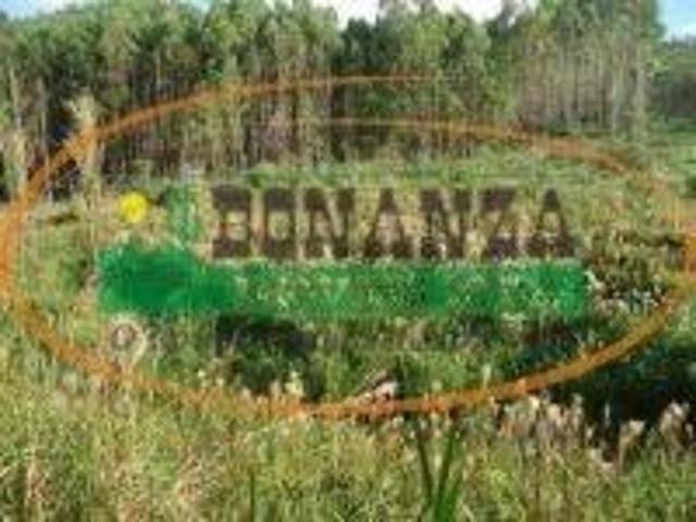 Terreno venda em Região Geográfica Imediata de Viçosa, Presidente Bernardes