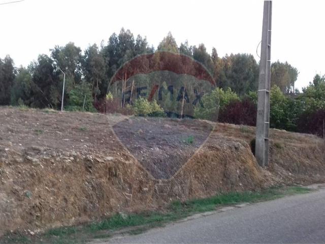 Terreno venda em Castelo Branco, Proença-a-nova