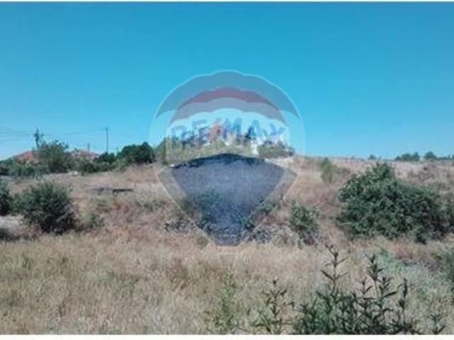 Terreno venda em Castelo Branco, Proença-a-nova