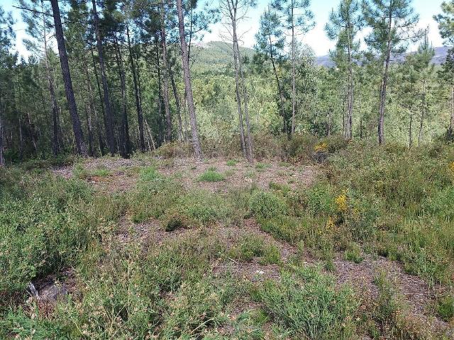 Terreno venda em Castelo Branco, Proença-a-nova
