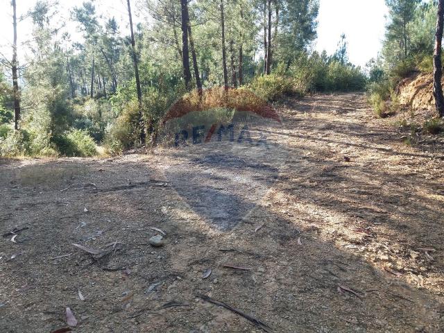 Terreno venda em Castelo Branco, Proença-a-nova