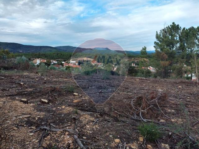 Terreno venda em Castelo Branco, Proença-a-nova