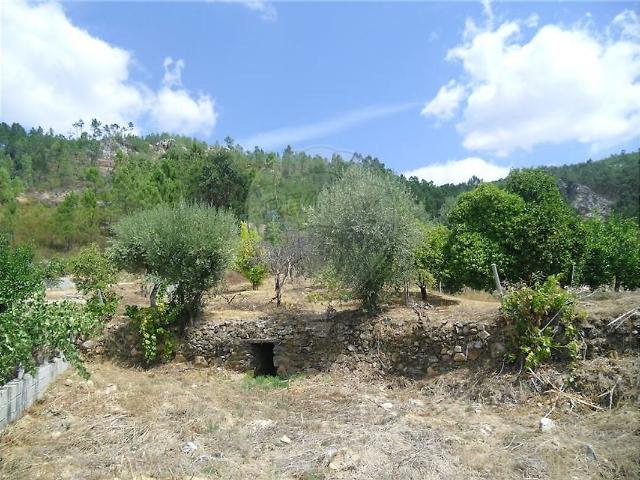 Terreno venda em Proença a Nova e Peral, Proença-a-Nova