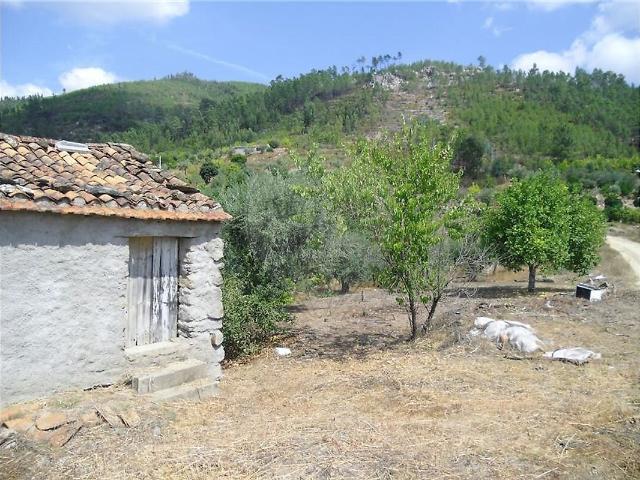 Terreno venda em Proença a Nova e Peral, Proença-a-Nova
