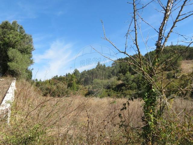 Terreno venda em Santo Isidoro, Mafra